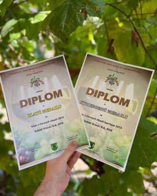 Na súťaži vín - Vinobranie 2024 vo Veľkom Krtíši sme získali z 2 vín 2 medaile😊🍷 #wine #winery #winecompetition #vino #sutaz